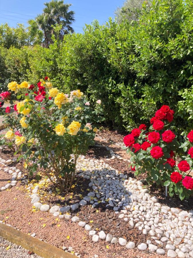 La Rosa Del Lago Браччано Екстер'єр фото